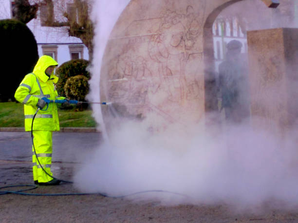 Best Pressure Washing Near Me  in Albany, MO